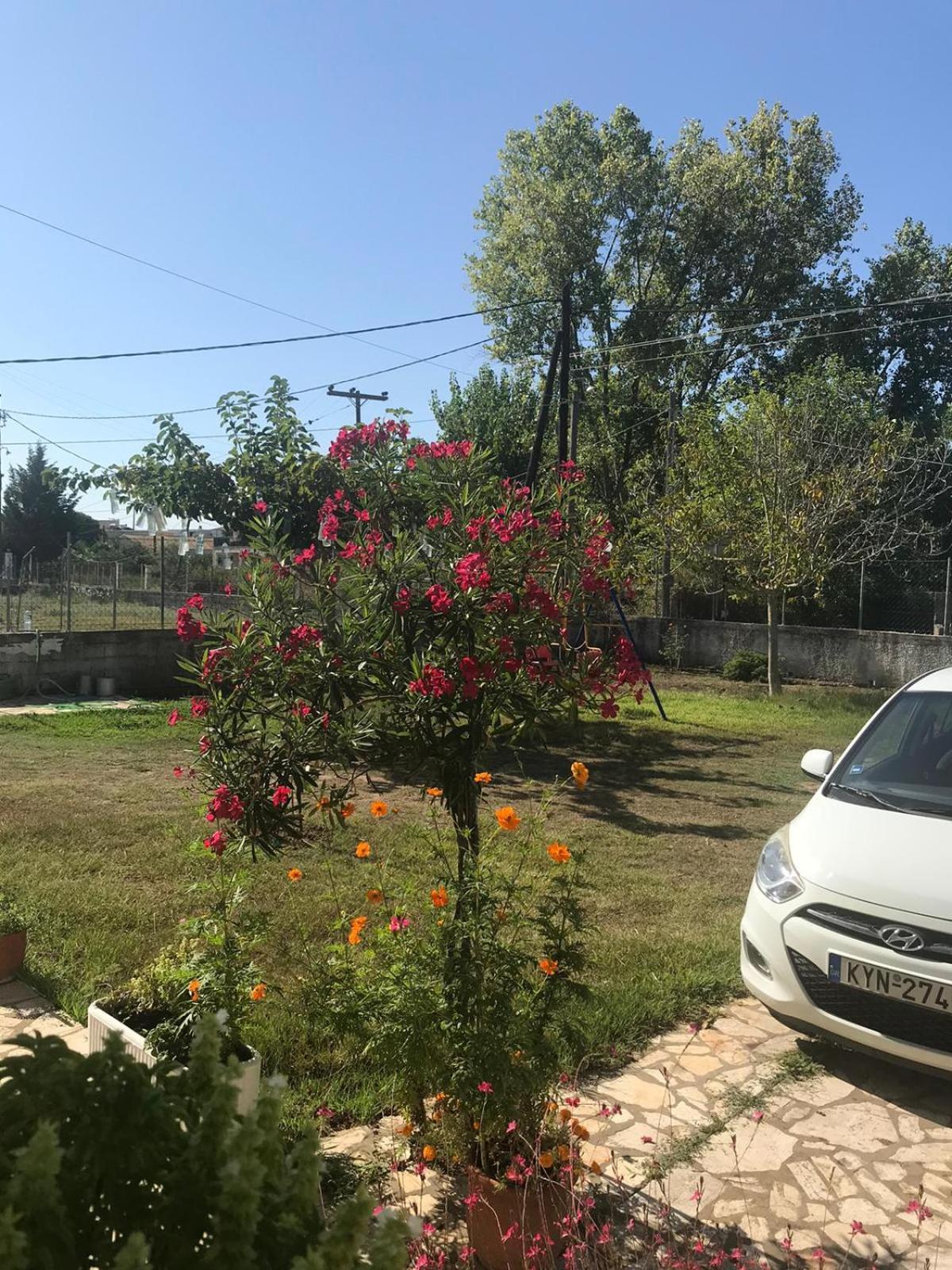 Aristidis Apartments آغيوس غيوريوس المظهر الخارجي الصورة